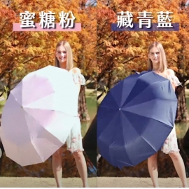 強抗風防曬十二骨傘CF